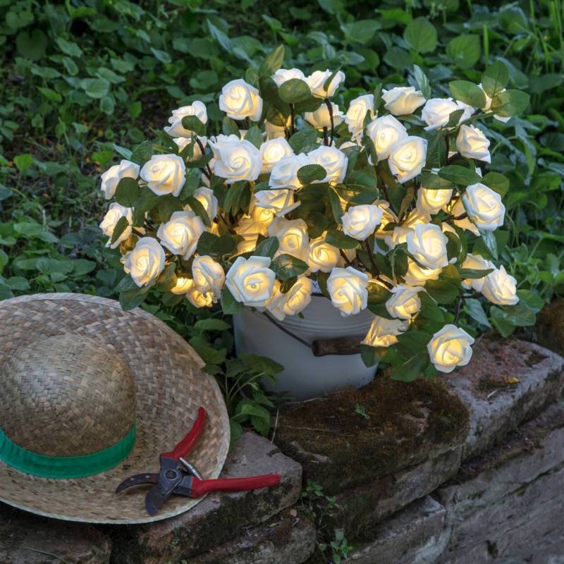 Bouquet 20 Roses lumineuses led blanches piles professionnel