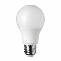 Ampoule LED A60 E27 10W 6000k blanc froid professionnelle professionnel