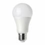 Ampoule LED A65 E27 15W 6000k blanc froid professionnelle professionnel