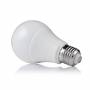 Ampoule LED A65 E27 15W 6000k blanc froid professionnelle professionnel