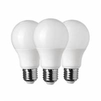 Ampoule LED A65 E27 12W 6000k lot de 3 blanc froid professionnelle professionnel