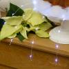 Mini cascade lumineuse piles blanc froid LED composition florale mariage mèche lumineuse
