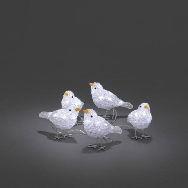 Lot de 5 oiseaux lumineux blanc 40 LED blanc froid câble blanc IP44 Konstsmide