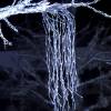 Branche lumineuse 1.2M 480 LEd blanc froid flash argentée