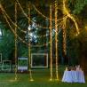 Guirlande lumineuse Boa 12CM 15M 1500 miniLED ambré lumière fixe câble vert