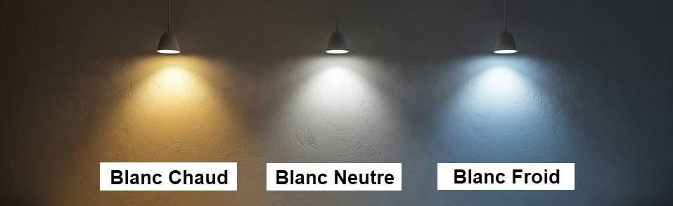 Comment choisir une ampoule LED pour votre guirlande guinguette extérieure  ? - MyElume le blog