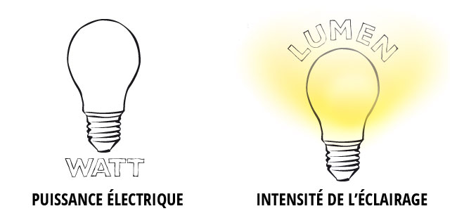 Ampoule Veilleuse à LED pour une Meilleure Visibilité