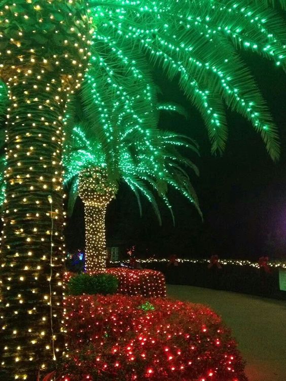 Accroche les guirlandes lumineuses de patio de palmier Décorations