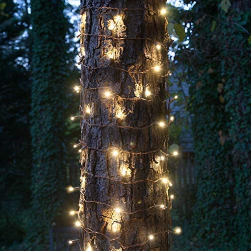 guirlande lumineuse blanc chaud entouré sur un tronc d'arbre