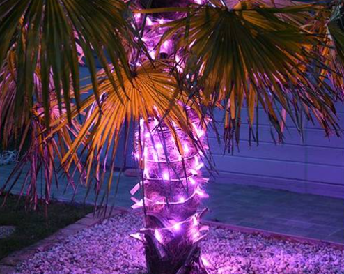 guirlande lumineuse rose pour illumination de palmier sur une plage