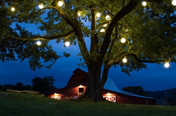 Luminaires pour les arbres